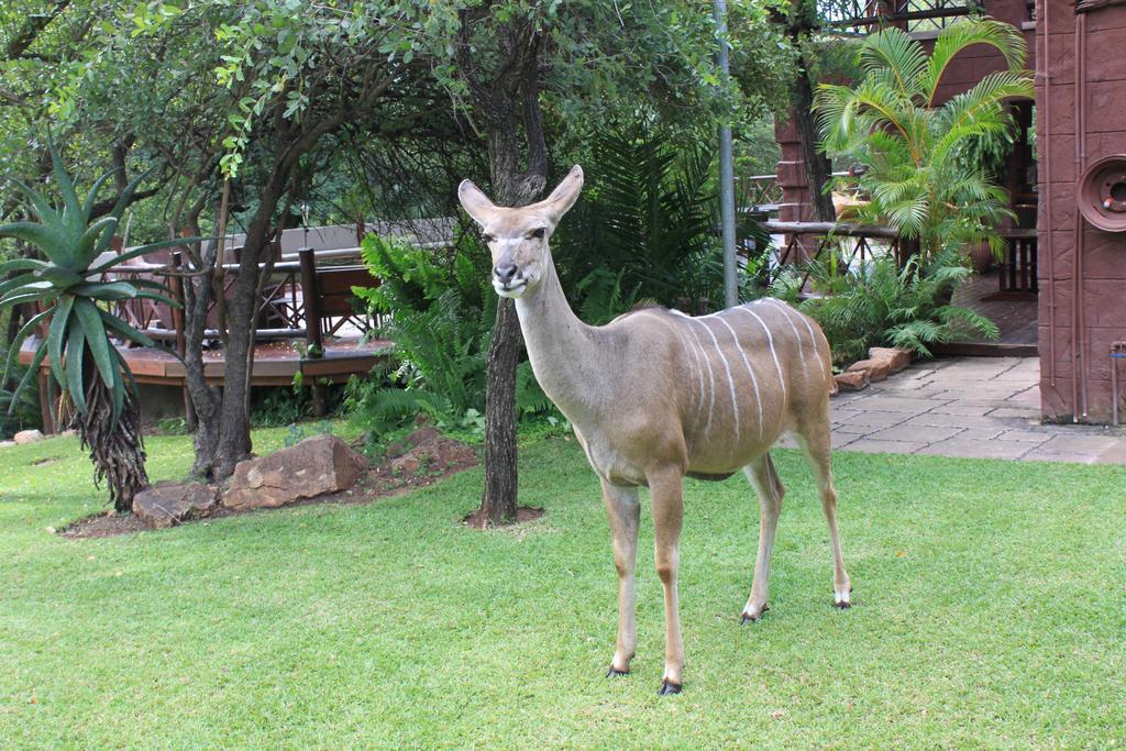 Grand Kruger Lodge And Spa Марлот Парк Екстериор снимка