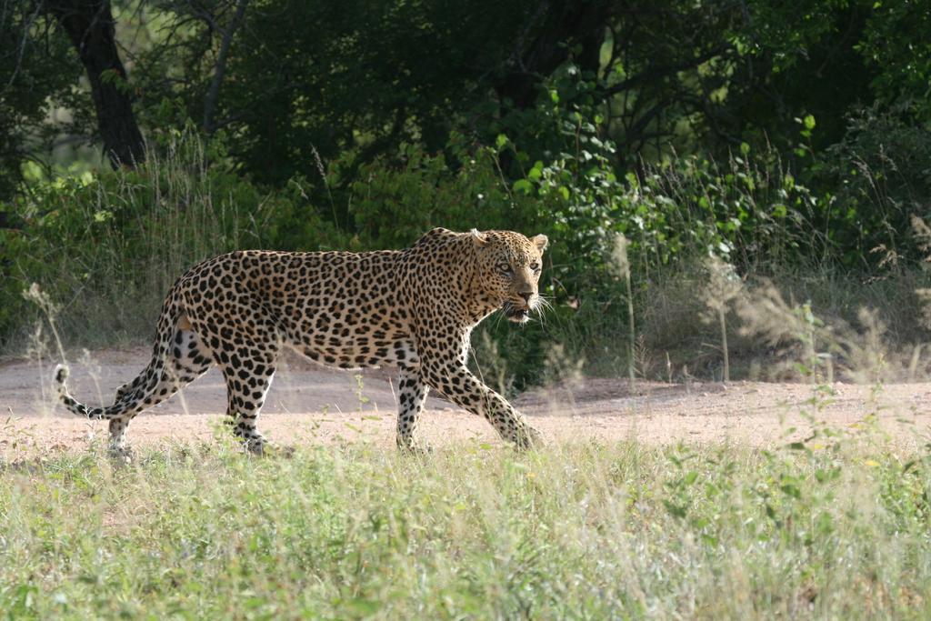 Grand Kruger Lodge And Spa Марлот Парк Екстериор снимка